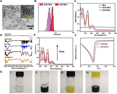 Encapsulation of berberine decorated ZnO nano-colloids into injectable hydrogel using for diabetic wound healing